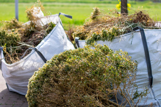 Best Demolition Debris Removal  in Bangor, MI